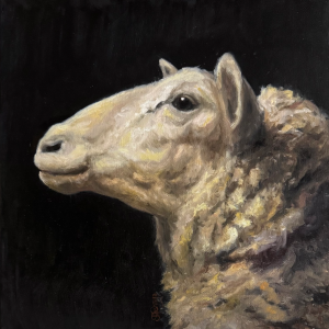 Sheep painting