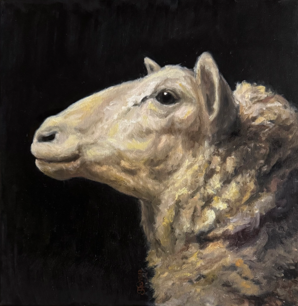 Sheep painting
