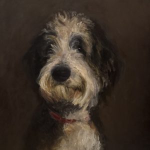 Dog portrait