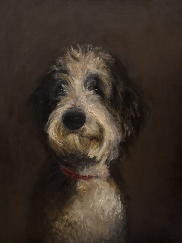 Dog portrait