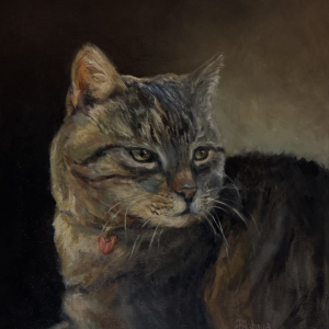 Cat Portrait