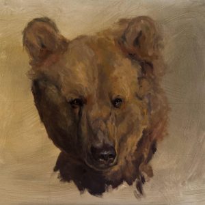 Syrian brown bear