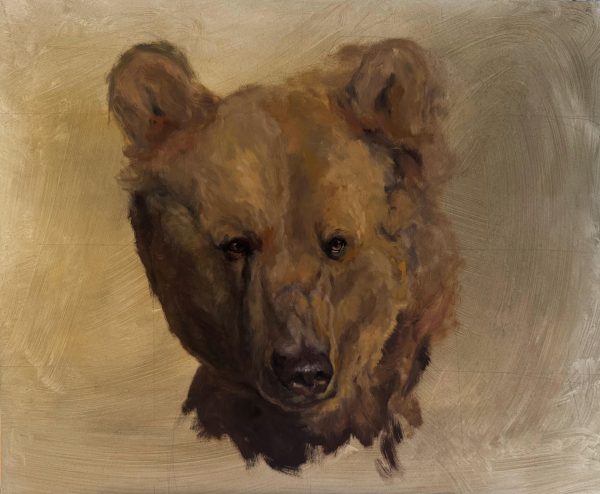 Syrian brown bear