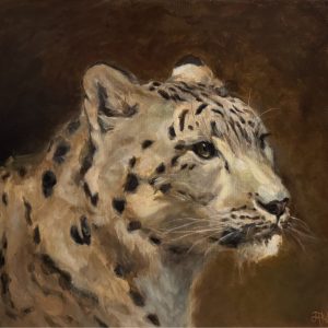 Snow Leopard