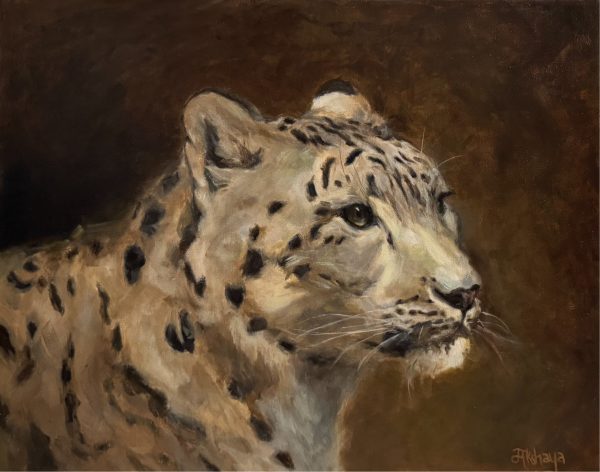 Snow Leopard