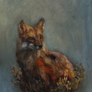Delicate red fox art print