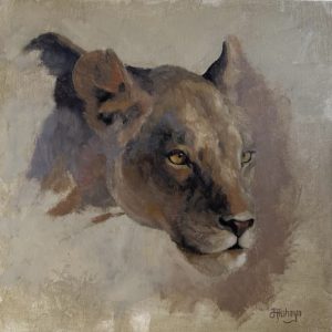 lioness