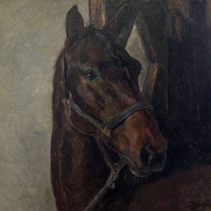 Handsome Horse